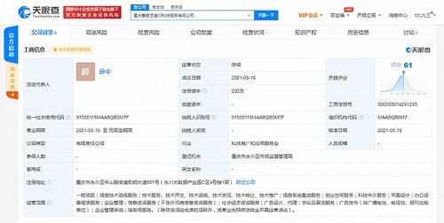 愛奇藝在重慶成立科技公司，拓展創(chuàng)業(yè)空間與信息系統(tǒng)集成服務(wù)